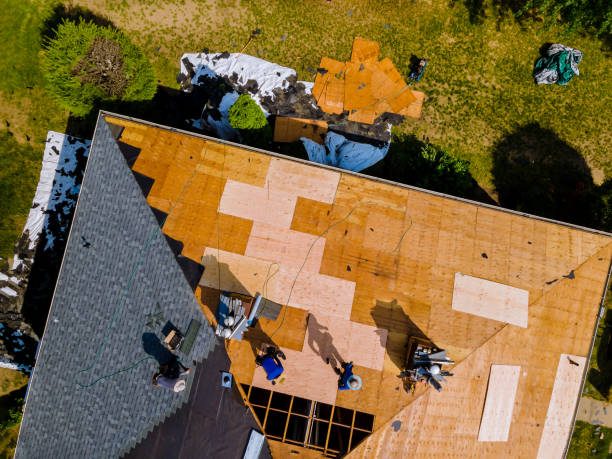 Best Roof Gutter Cleaning  in Vincent, AL
