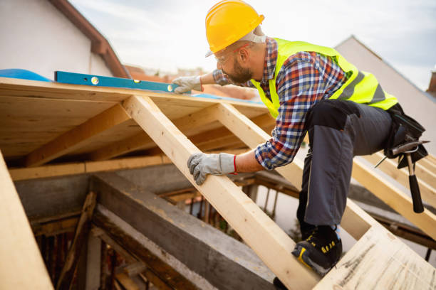 Best Roof Gutter Cleaning  in Vincent, AL